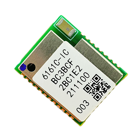 Module Bluetooth 6161C-IC