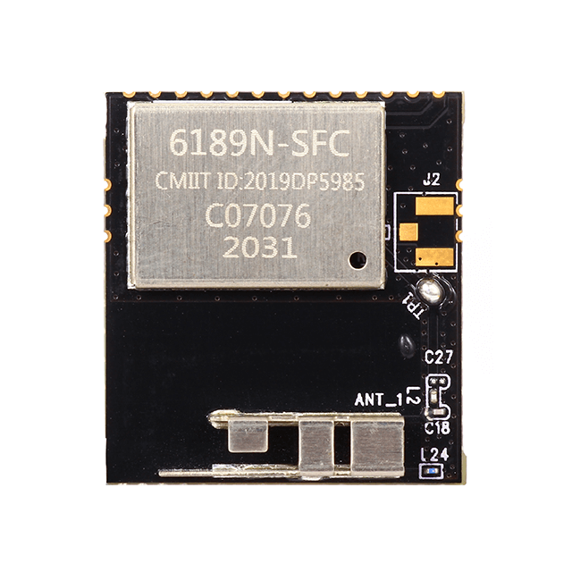 Module Wi-Fi 6189N-SFC