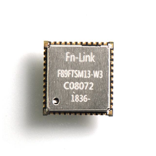 Module Wi-Fi FG89FTSM13-W3